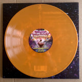 Acid Mothers Temple & The Melting Paraiso UFO & Geoff Leigh - Chosen Star Child's Confession LP