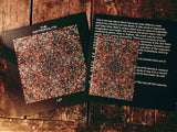 The Astrounauts - LP 12"