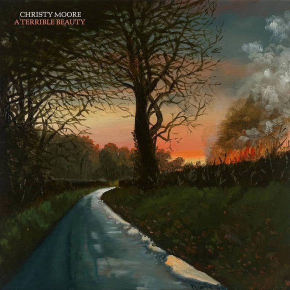 Christy Moore - A Terrible Beauty CD