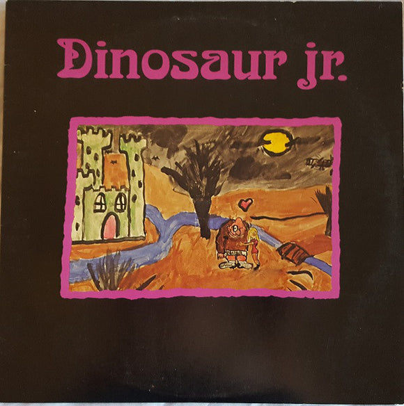 Dinosaur Jr. : Little Fury Things (12