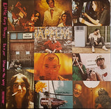 Dinosaur Jr. : Little Fury Things (12", Pin)