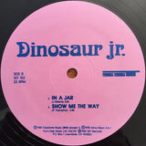 Dinosaur Jr. : Little Fury Things (12", Pin)