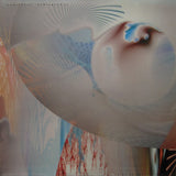 Amorphous Androgynous : Tales Of Ephidrina (LP, Album)