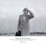 David Sylvian : A Victim Of Stars 1982 - 2012 (2xCD, Comp, RE, Son)