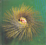 Peter Gabriel : OVO (CD, Album, Enh, RP)