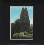 John Foxx : The Virgin Years 1980-1985 (Box, Comp + CD, Album, RE, RM, RP + CD, Album, RE,)