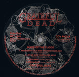 Grateful Dead* : Wake Of The Flood (LP, Album, RE)