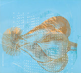Junk Magic : Compass Confusion (CD, Album)