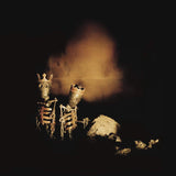 Pearl Jam - Riot Act 2LP