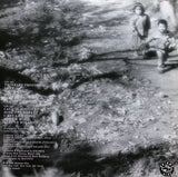 Daevid Allen And Kramer (2) : Who's Afraid? (LP)