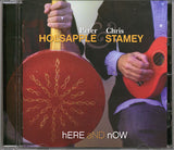 Peter Holsapple And Chris Stamey : Here And Now (CD, Album)