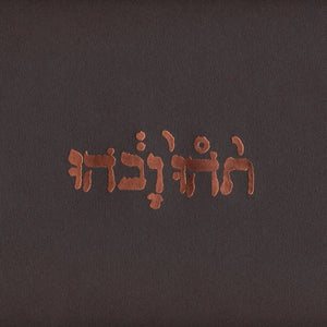 Godspeed You! Black Emperor - Slow Riot For New Zero Kanada CD