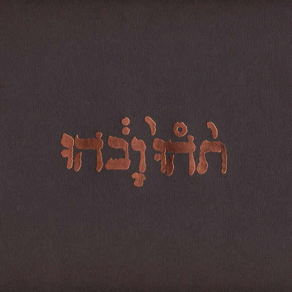 Godspeed You! Black Emperor - Slow Riot For New Zero Kanada CD