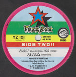 We've Got A Fuzzbox And We're Gonna Use It : What's The Point (7", Single)