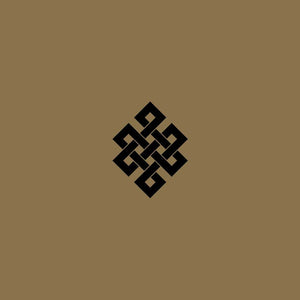 Throbbing Gristle - Live At The Volksbühne, Berlin, New Year's Eve, 2005 CD/2LP