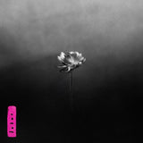 Little Simz - Lotus CD/2LP/DLX 2LP