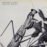 Courtney Barnett - Creature Of Habit CD/LP