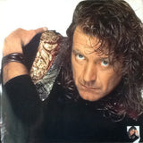 Robert Plant : Manic Nirvana (LP, Album, Ltd, Gat)