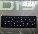Disturbed : Divisive (LP, Album, Ltd, Sil)