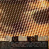 Paul Weller : Fly On The Wall (B Sides & Rarities) (3xCD, Comp, RM, blu + Box)
