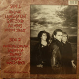New Model Army : The Ghost Of Cain (LP, Album)