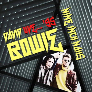 David Bowie (with Nine Inch Nails) - Live '95 2CD