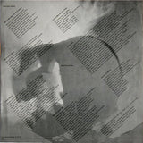 Sonic Youth : Bad Moon Rising (LP, Album)