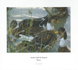 Anders Dahl & Skogen : Rows (CD, Album)
