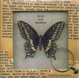 Birch And Meadow : Butterflies And Graves (CD, Album, Pic)