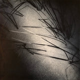 Harold Budd ▪ Elizabeth Fraser ▪ Robin Guthrie ▪ Simon Raymonde : The Moon And The Melodies (LP, Album)