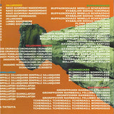 Ruins : Pallaschtom (CD)