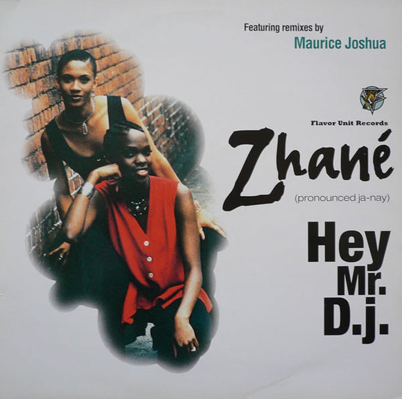Zhané : Hey Mr. D.J. (12