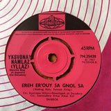Zal Yanovsky : As Long As You're Here (7")