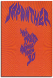 Japanther : Don't Trust Anyone Over 30 (DVD)