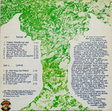 Daevid Allen : N'Existe Pas! (LP, Album)