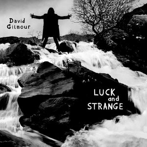 David Gilmour - Luck And Strange CD/LP