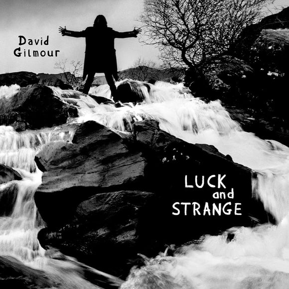 David Gilmour - Luck And Strange CD/LP