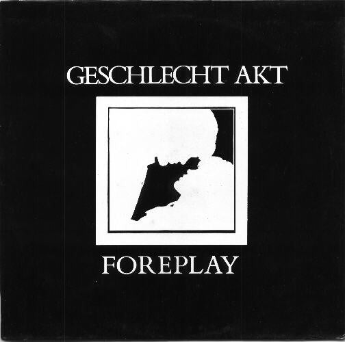 Geschlecht Akt : Foreplay (12