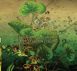 Dave Ball • Jon Savage (4) : Photosynthesis (CD, Album)