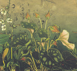 Dave Ball • Jon Savage (4) : Photosynthesis (CD, Album)