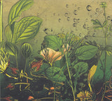 Dave Ball • Jon Savage (4) : Photosynthesis (CD, Album)