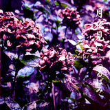 Tsurubami : Tsukuyomi Ni (CD, Album, Ltd)