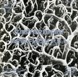Pitch Shifter* : Death Industrial (7", Single, Ltd, Cle)