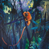 Bonnie 'Prince' Billy - We Are Together Again CD/LP