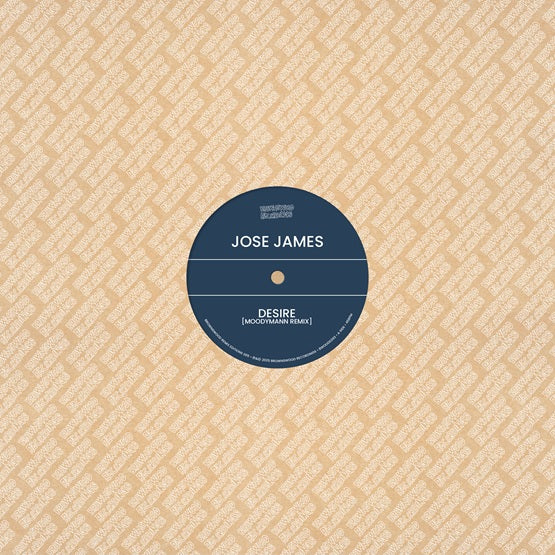 Jose James / Ben Westbeech - Brownswood Recordings Remix Edition 005 - 12