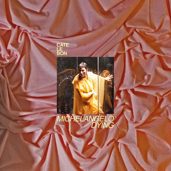 Cate Le Bon - Michelangelo Dying CD/LP
