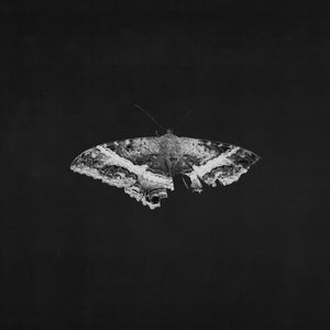 Kendrick Lamar - To Pimp A Butterfly (10th Anniversary) 2LP