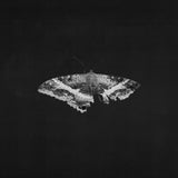 Kendrick Lamar - To Pimp A Butterfly (10th Anniversary) 2LP
