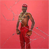 Tyler, The Creator - DON'T TAP THE GLASS LP