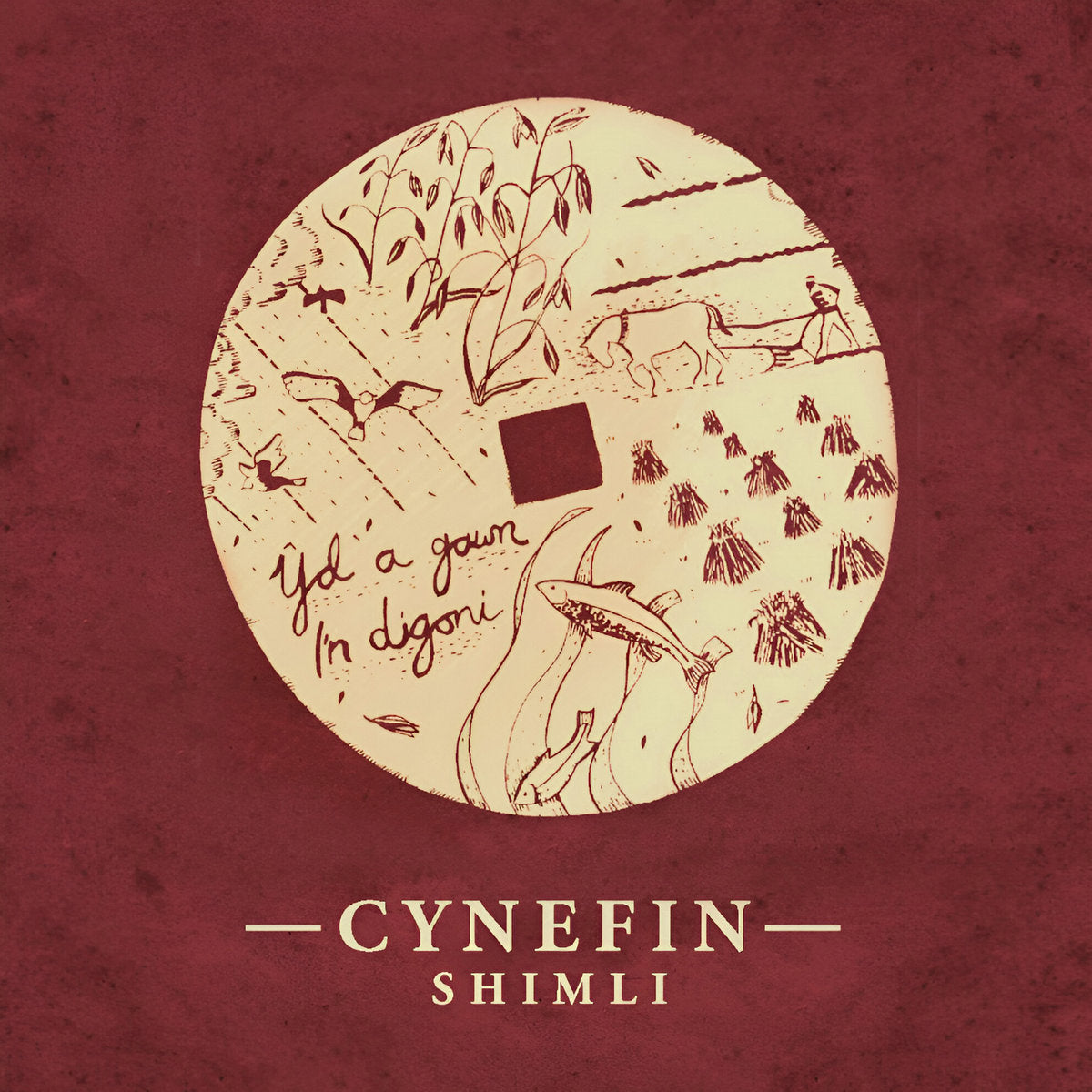 Cynefin - Shimli CD – Tangled Parrot
